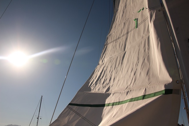Rolly Tasker Sails